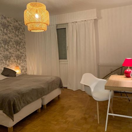 Appartement Centre-Ville Colmar Esterno foto